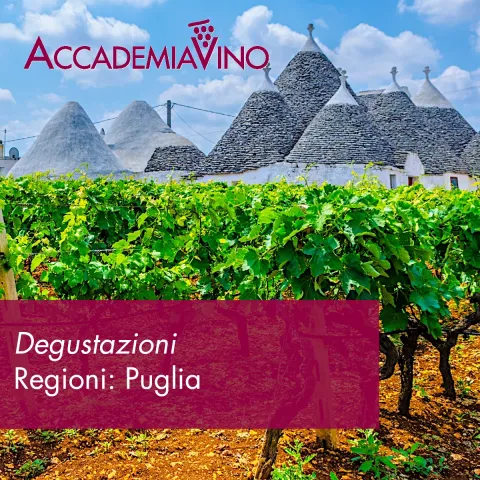Degustazioni vino – Regioni: Puglia