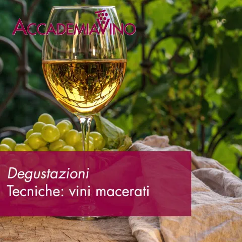 Degustazioni – Tecniche di produzione: i vini macerati