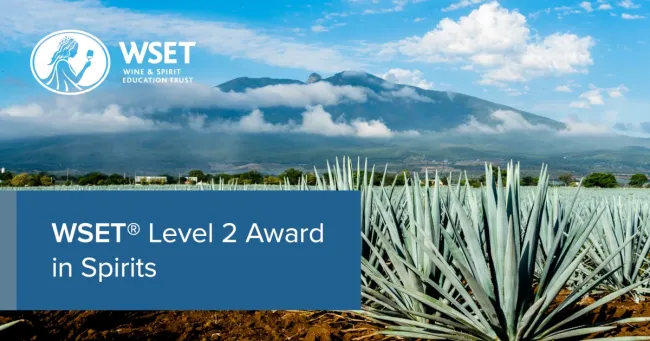 WSET Level 2 Award in Beer